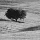 alentejo | alentejo