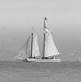 barcos | boats