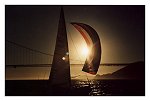 Veleiro ao P�r-do-Sol 2 | Sailing Boat at the Sunset 2