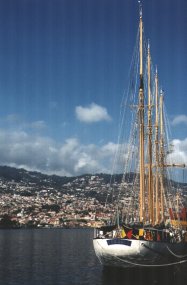 Creoula no Funchal - Fotografia de Rui Gonalves
