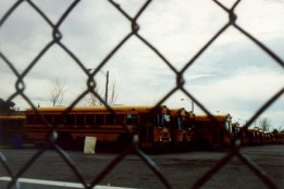 Autocarros Escolares - Fotografia de Rui Gonçalves
