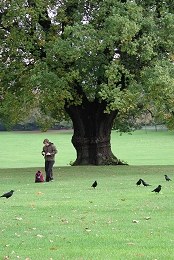 Dar de comer aos corvos em Brockwell Park - Fotografia de Cláudia Fernandes